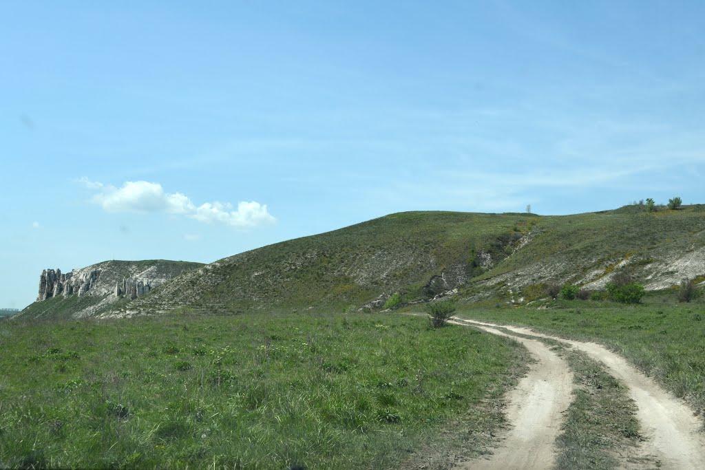 Білокузьминівка з panoramio.com - Білокузьминівка