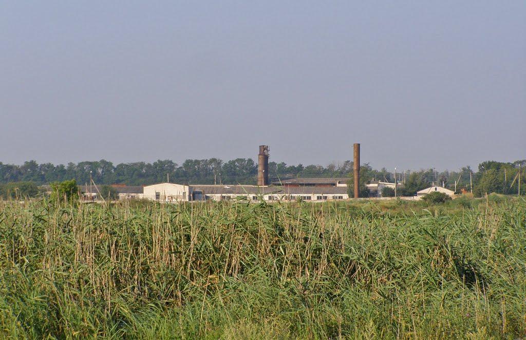 Новорозсош з panoramio.com - Новороссошь