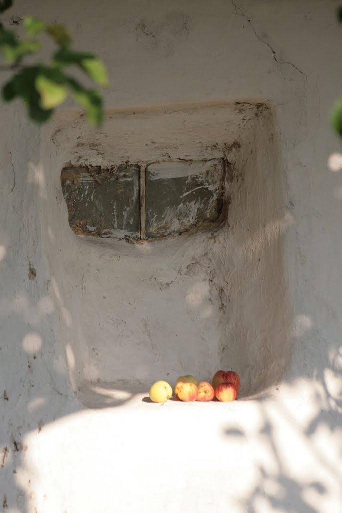 Шедієве з panoramio.com - Шедиево