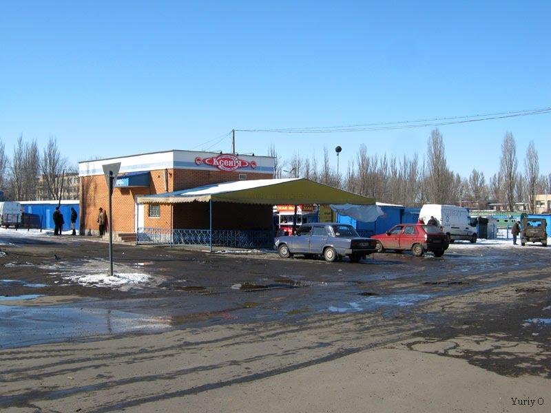 Широка Дача з panoramio.com - Широкая Дача