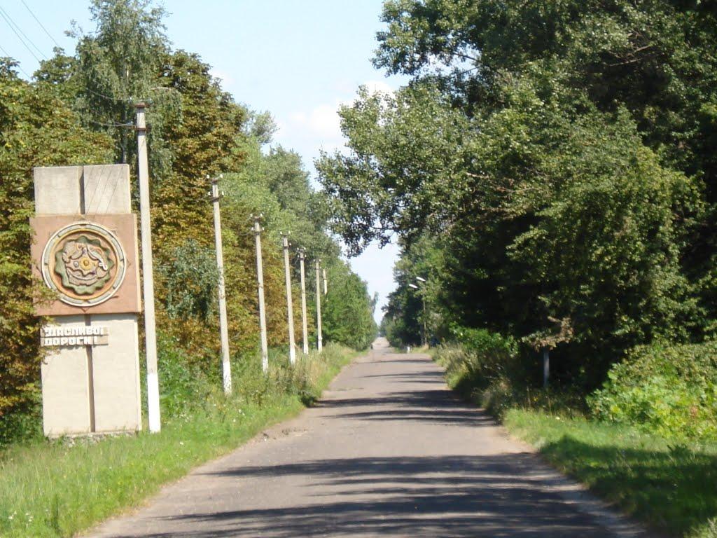 Вереміївка з panoramio.com - Веремиевка