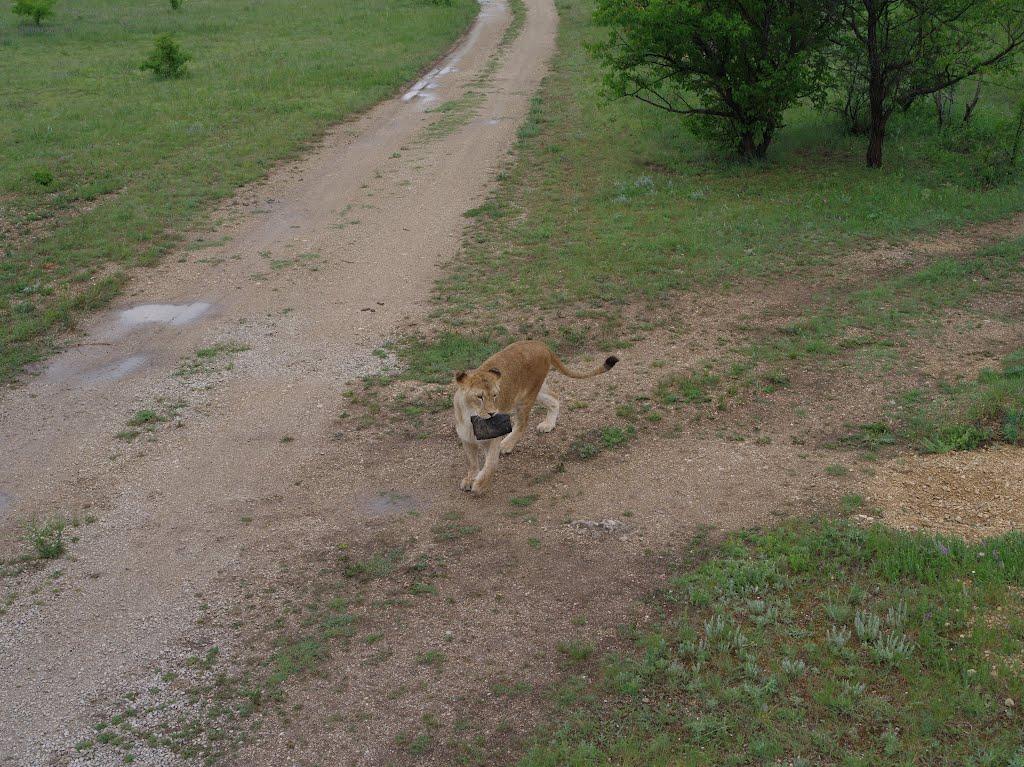Білогірськ з panoramio.com - Білогірськ