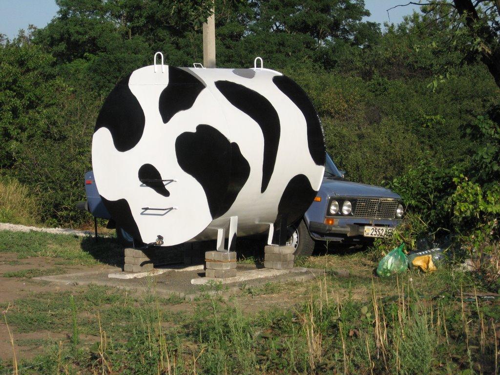 Куликівське з panoramio.com - Куликівське