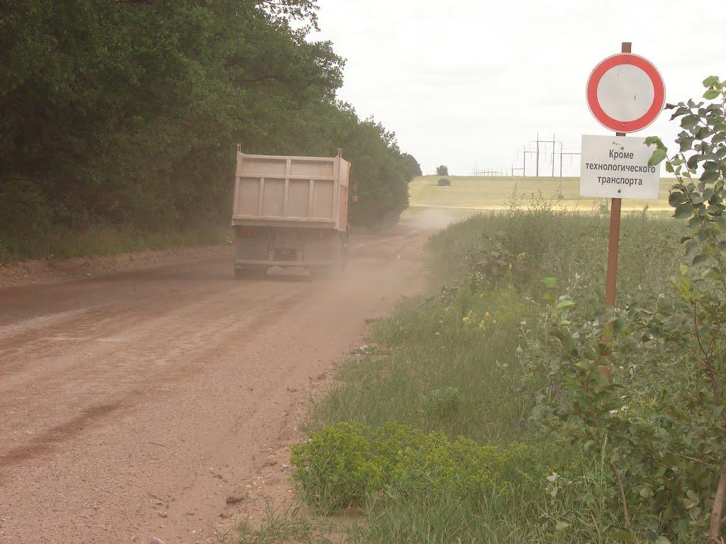 Рози Люксенбург з panoramio.com - Нове Шахове
