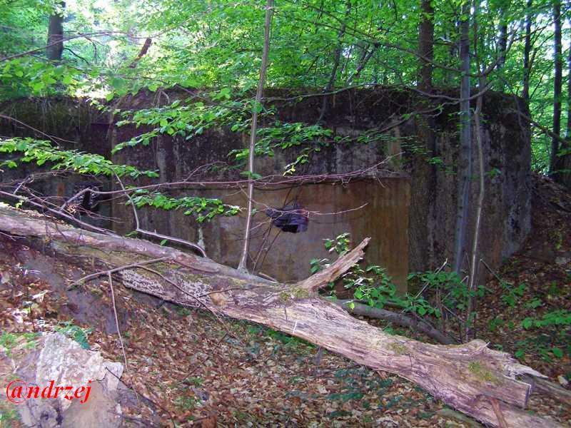 Великі Макари з panoramio.com - Великі Макари