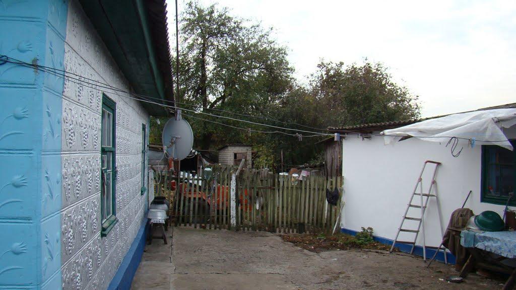 Янишівка з panoramio.com - Янишевка