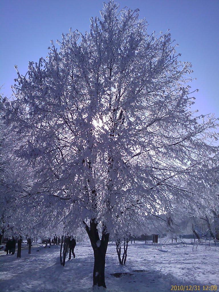 Кучурган з panoramio.com - Кучурган