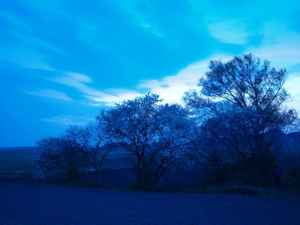 Стовп'яги з panoramio.com - Стовп'яги