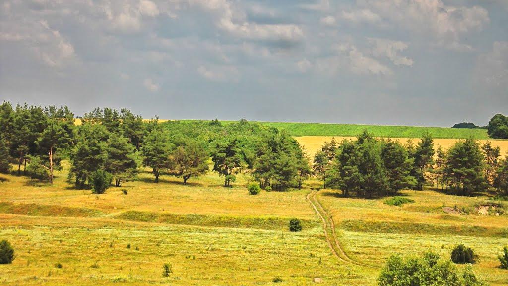 Плоско-Забузьке з panoramio.com - Plosko-Zabuzke