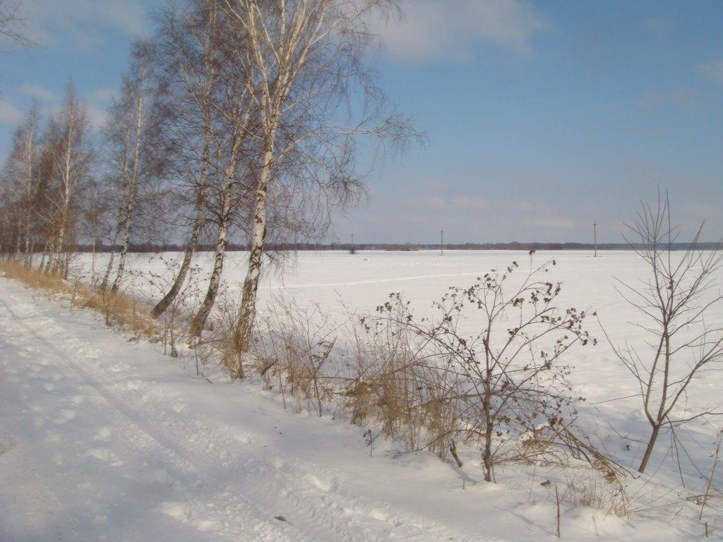 Переяслівка з panoramio.com - Переяслівка