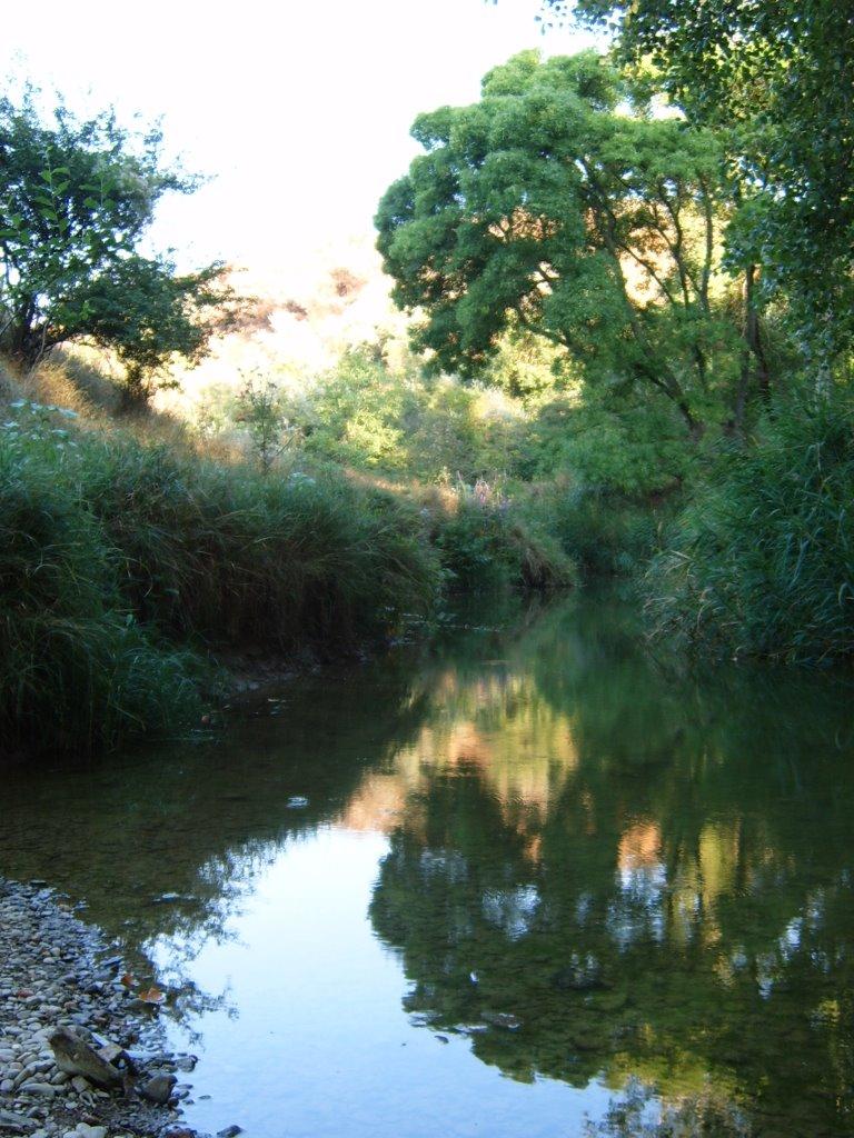 Мохначі з panoramio.com - Мохначі