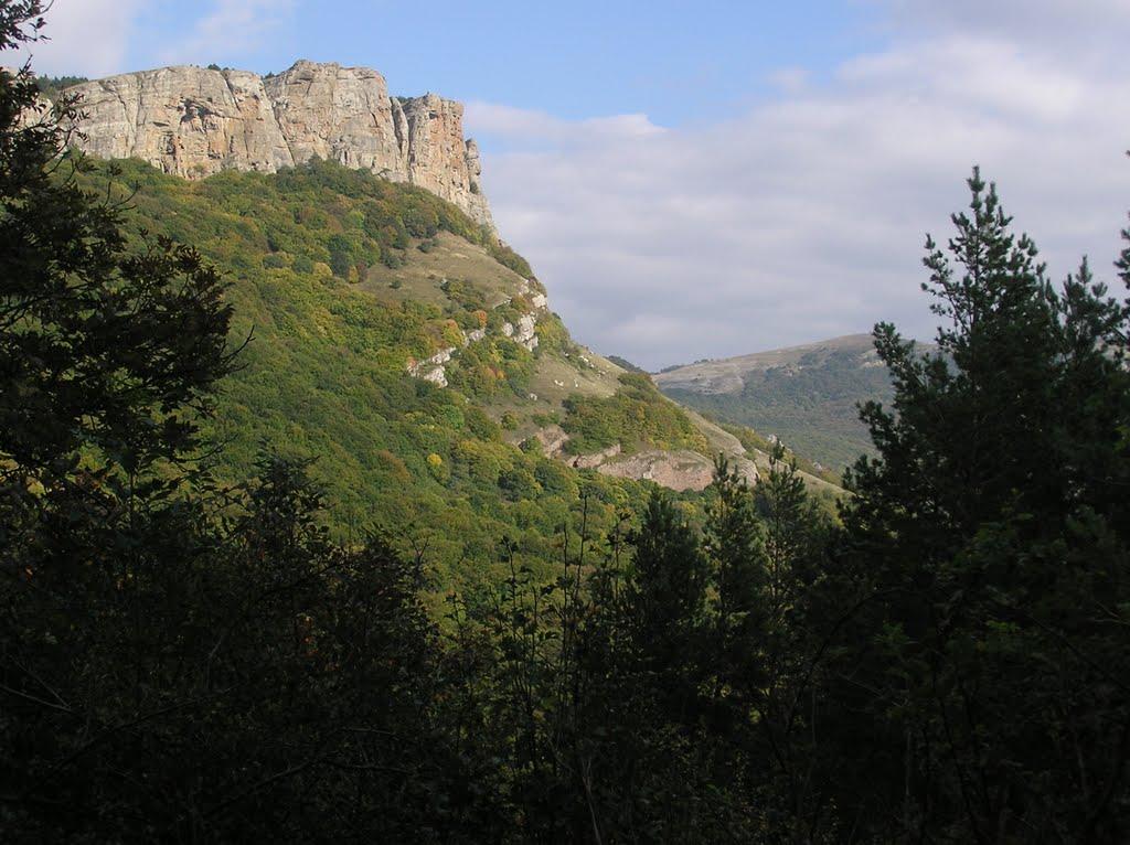 Лаванда з panoramio.com (ч.2) - Лаванда