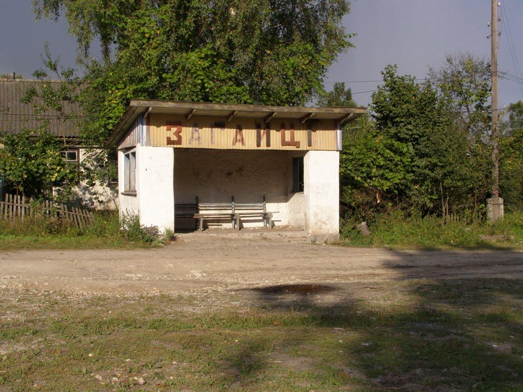 Великі Загайці з panoramio.com - Великі Загайці