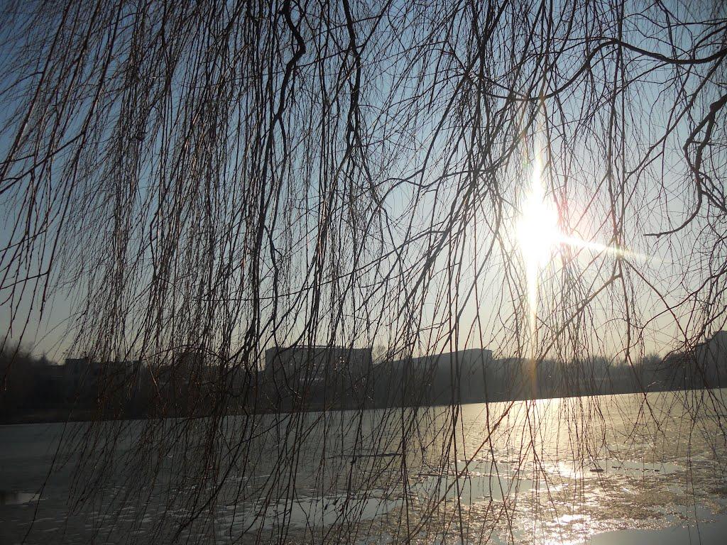 Новий Розділ з panoramio.com - Новый Роздол