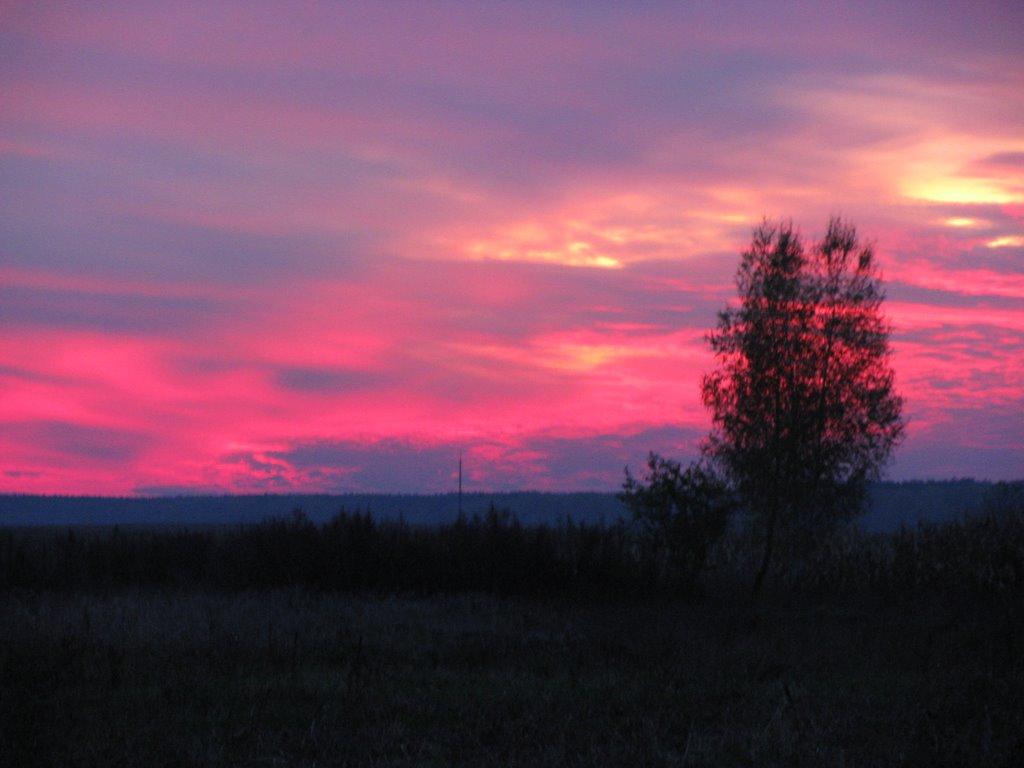 Припутні з panoramio.com - Припутни