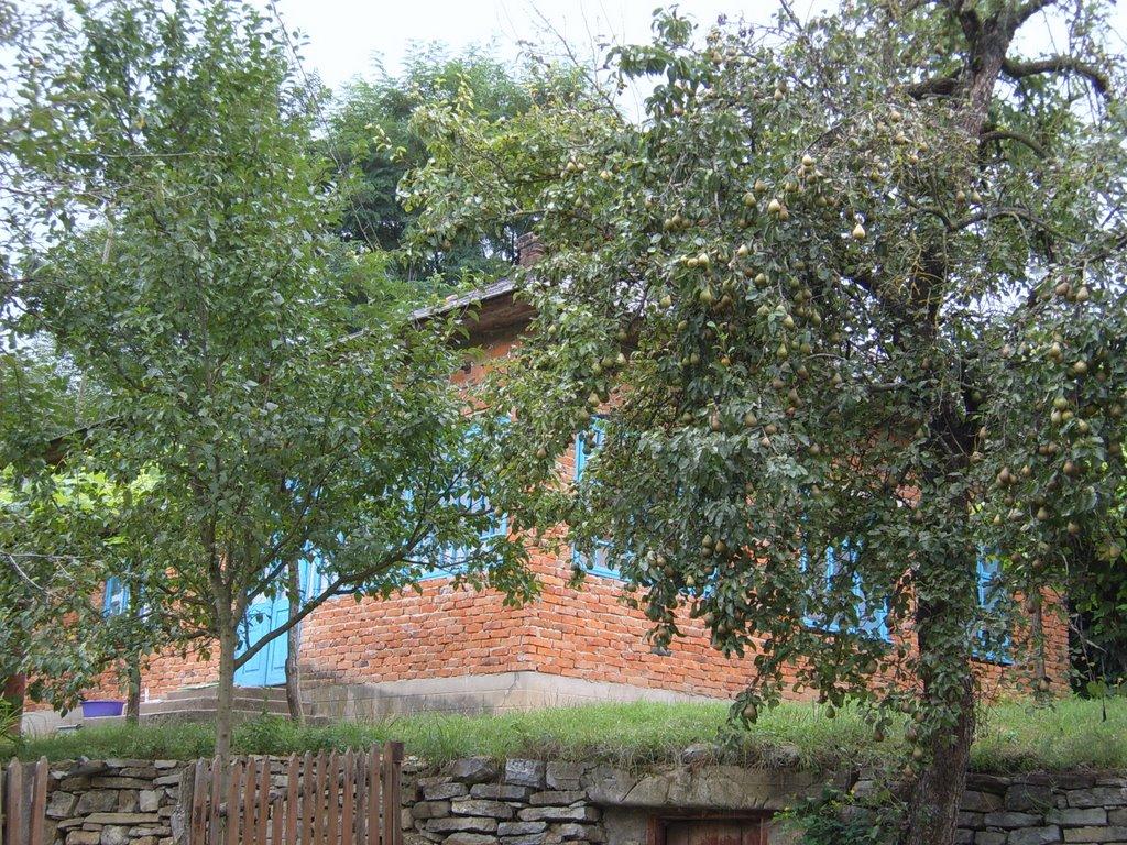 Дністрове з panoramio.com - Днестровое