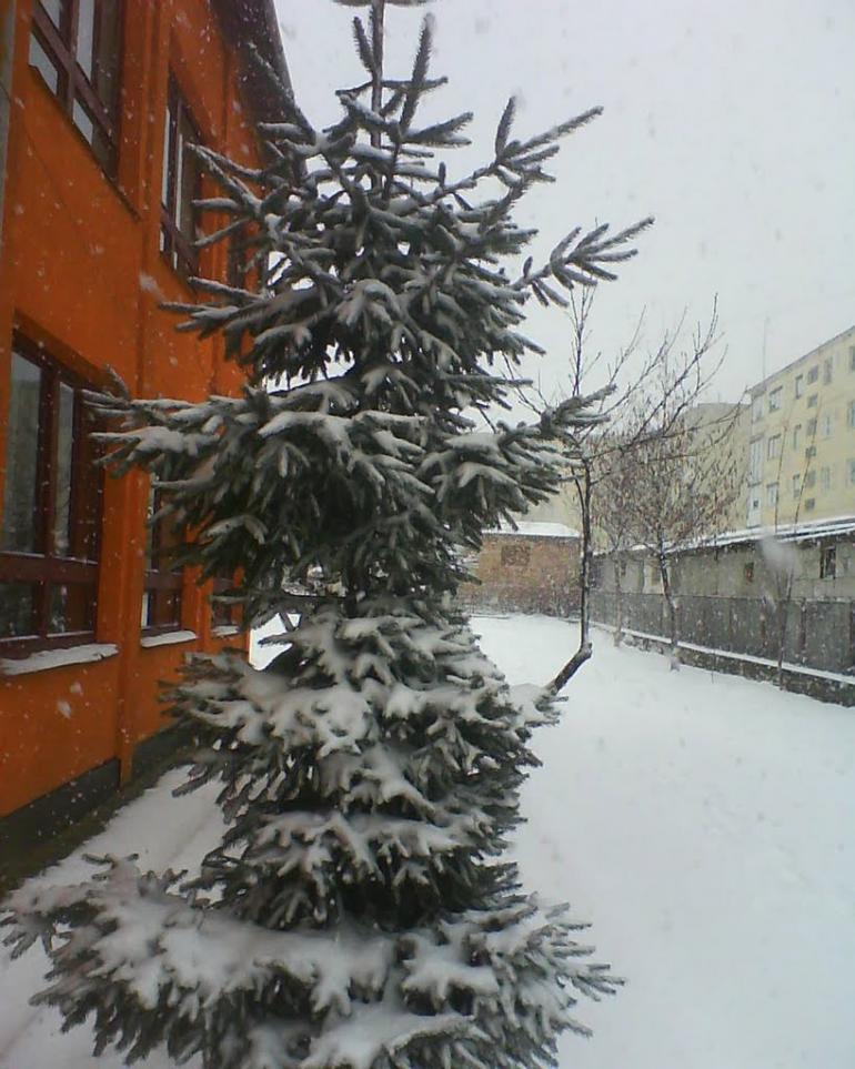 Холмовець з panoramio.com - Холмовець