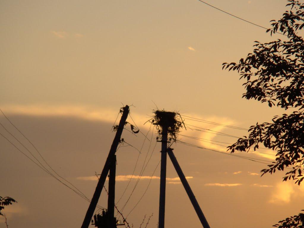 Червона Дача з panoramio.com - Червона Дача