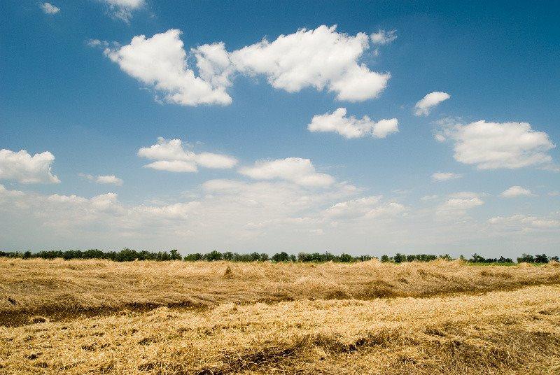 Бессарабка з panoramio.com - Бессарабка