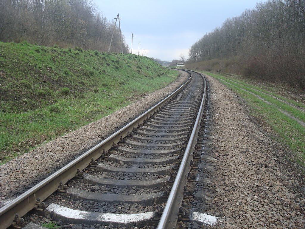 Шаровечка з panoramio.com - Шаровечка