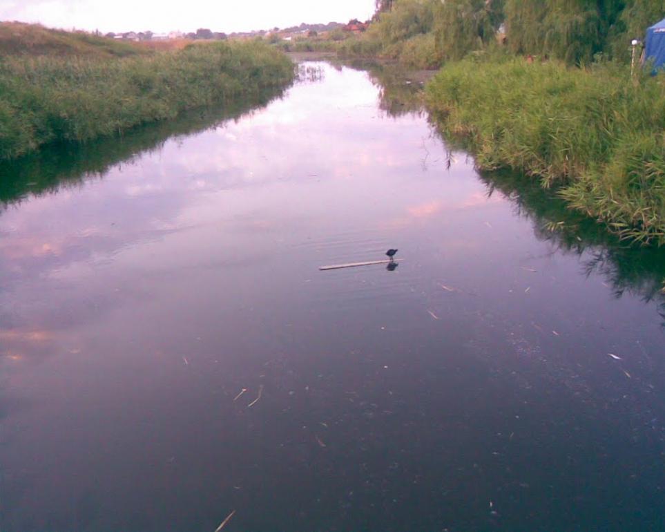 Урзуф з panoramio.com - Урзуф