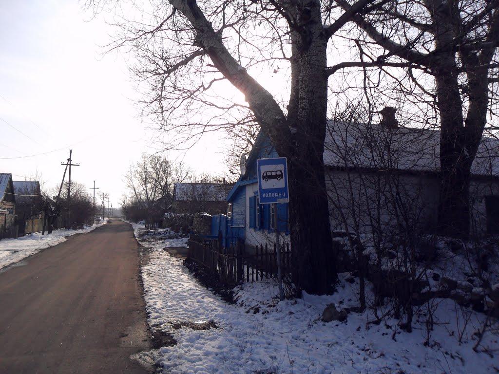 Зайцеве з panoramio.com - Зайцеве