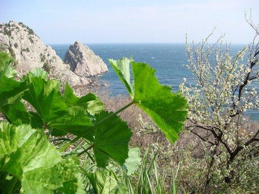 Голуба Затока з panoramio.com (ч.2) - Голуба Затока