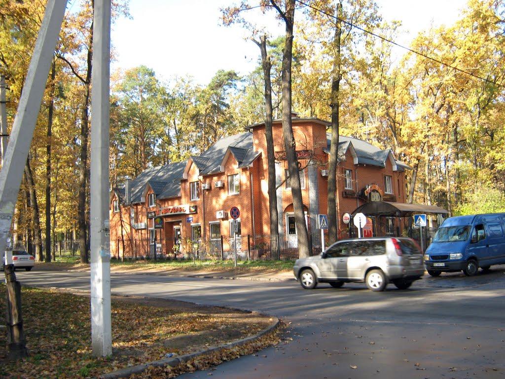 Буча з panoramio.com - Буча