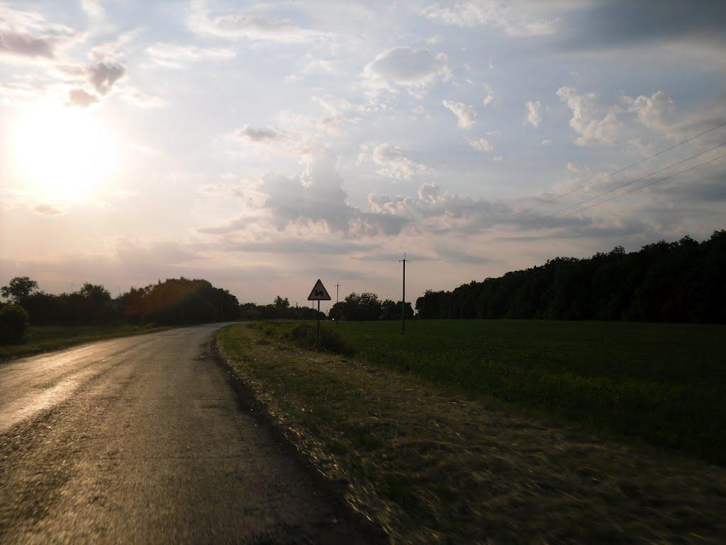 Чернишівка з panoramio.com - Чернишівка