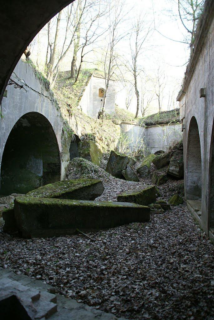 Циків з panoramio.com - Цыков