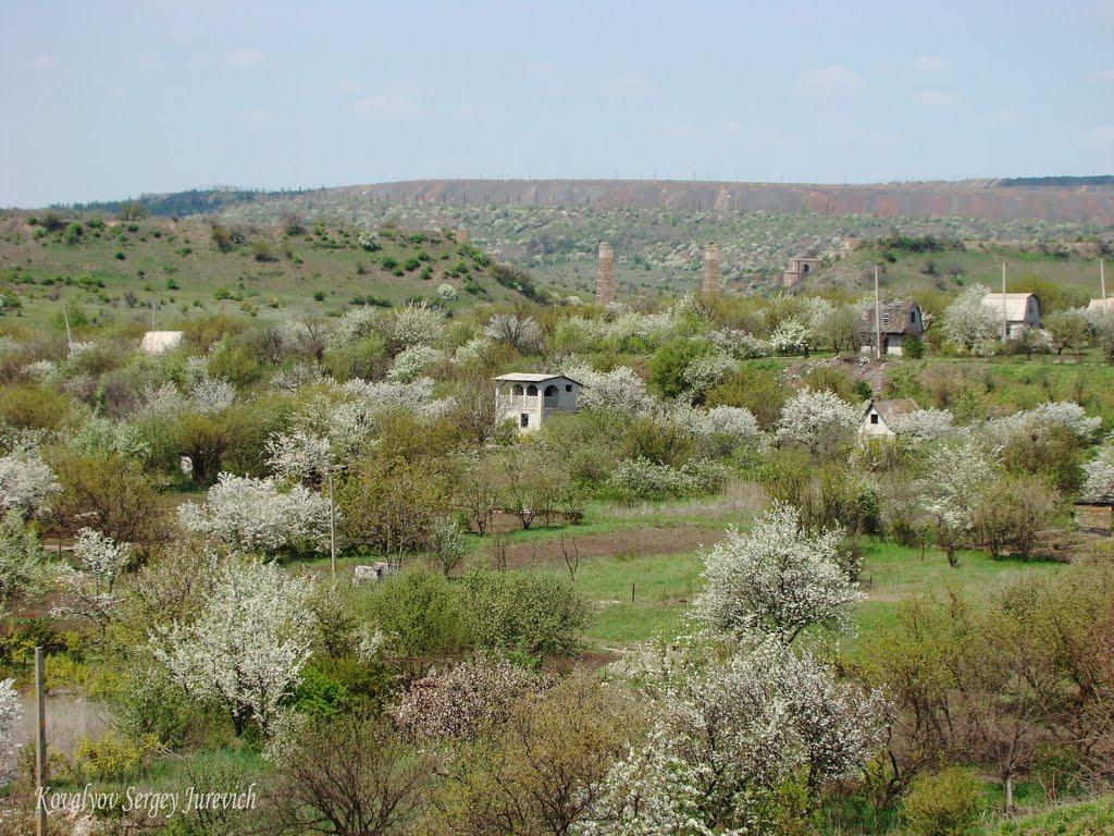 Гірницьке з panoramio.com - Гірницьке