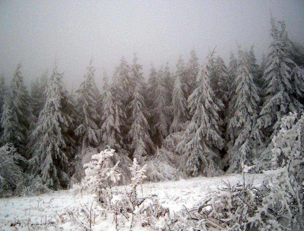 Чайковське з panoramio.com (ч.2) - Чайковське