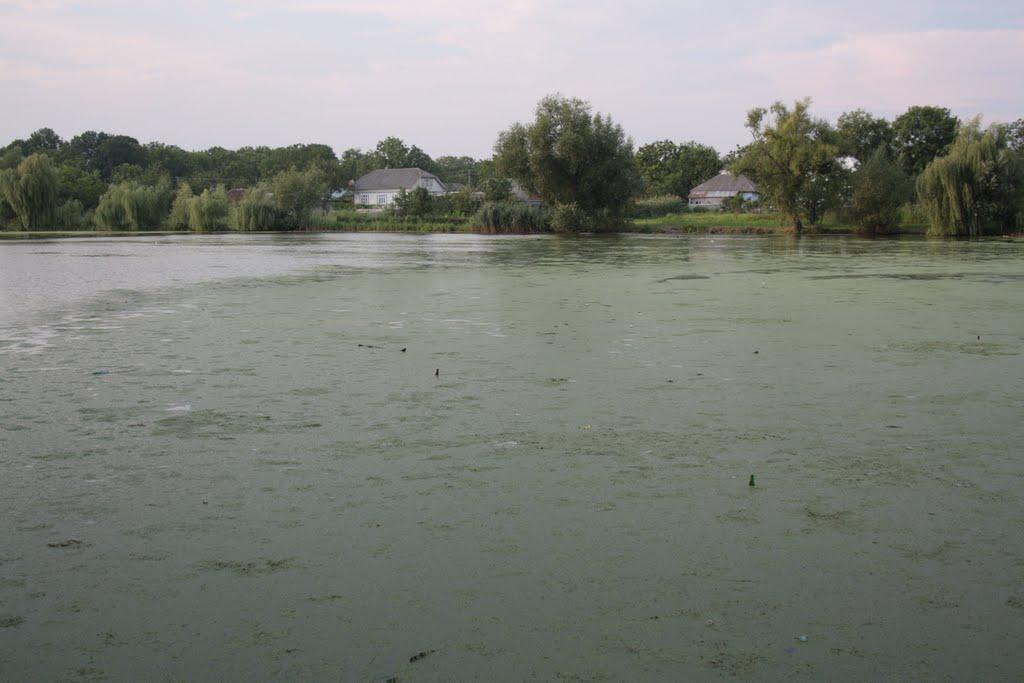 Романківці з panoramio.com - Романковцы