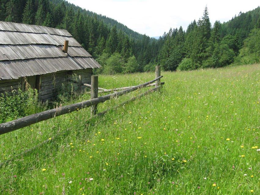 Микуличин з panoramio.com (ч.2) - Микуличин