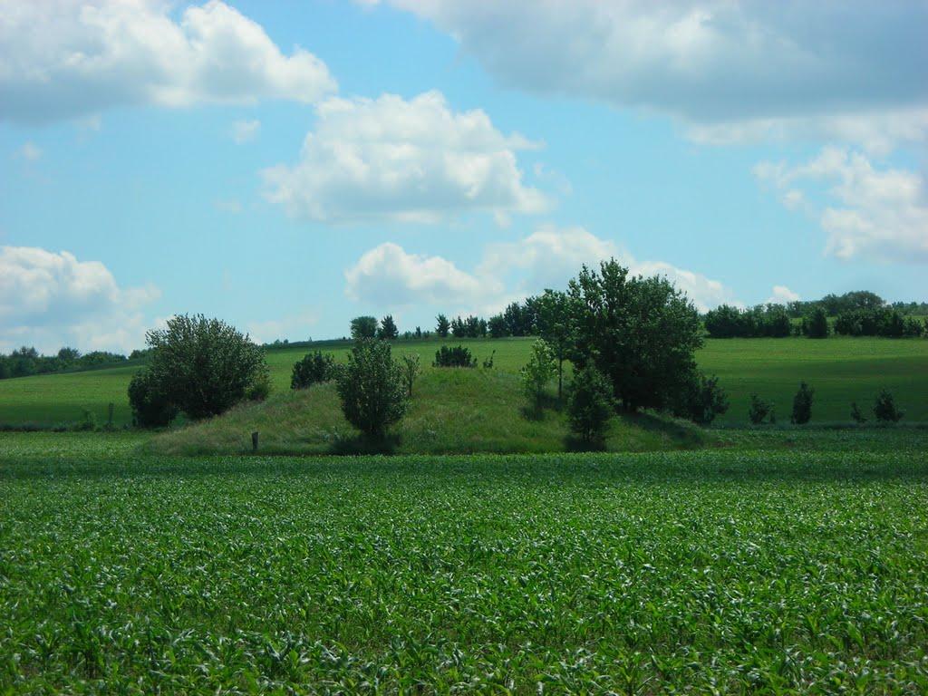 Трушівці з panoramio.com - Trushivtsi