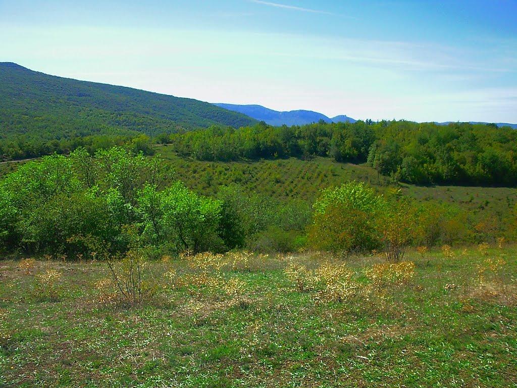 Нагірне з panoramio.com - Нагорное