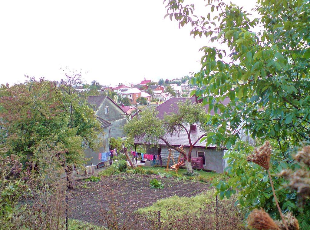 Бережани з panoramio.com - Бережаны