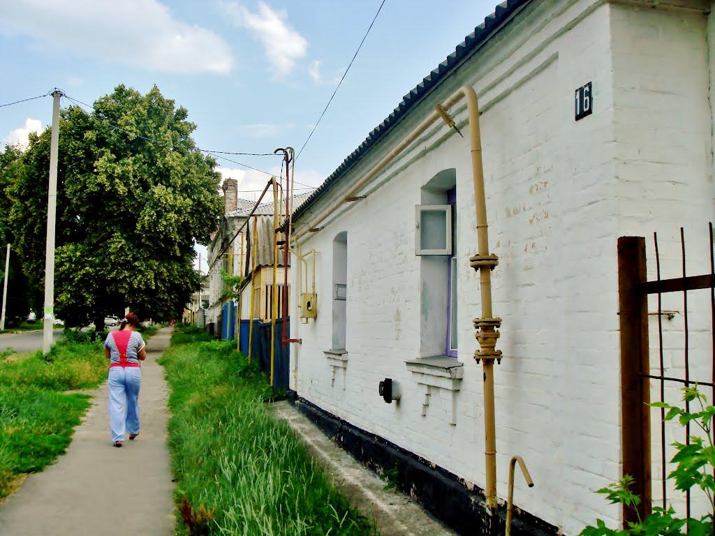 Звенигородка з panoramio.com - Звенигородка