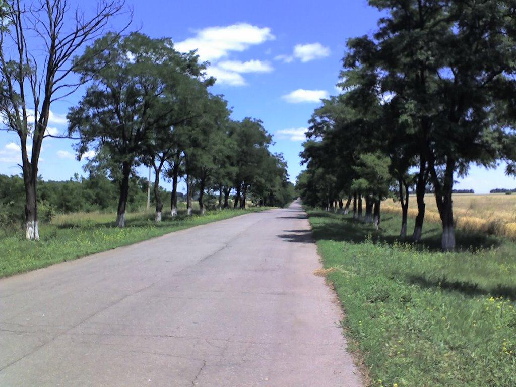 Жовті Води з panoramio.com - Жовті Води