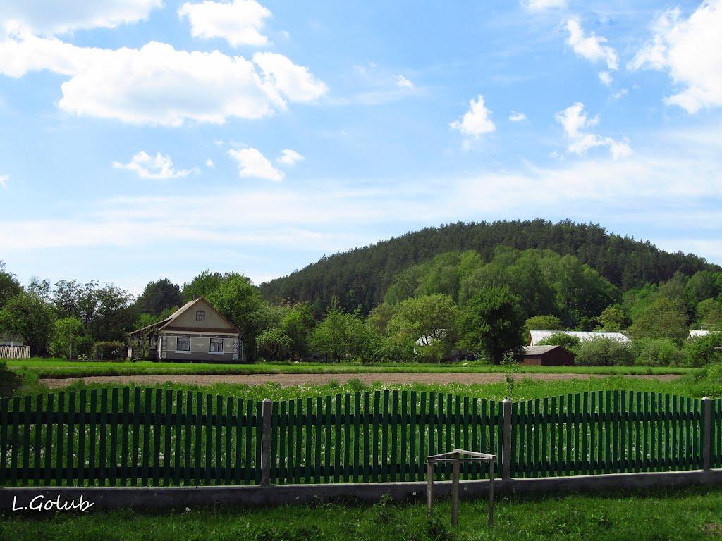 Велика Іловиця з panoramio.com - Велика Іловиця