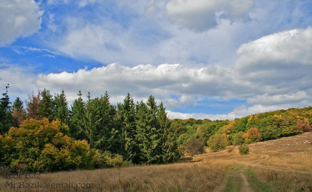 Чайковське з panoramio.com (ч.2) - Чайковське