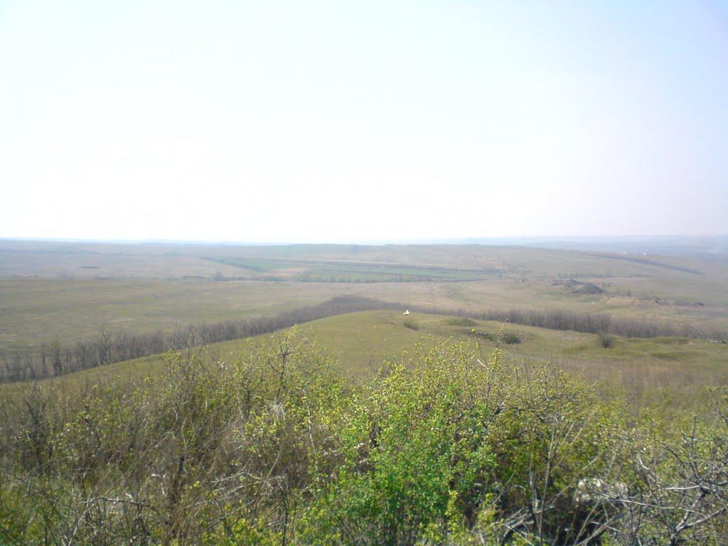 Верхньошевирівка з panoramio.com - Верхньошевирівка