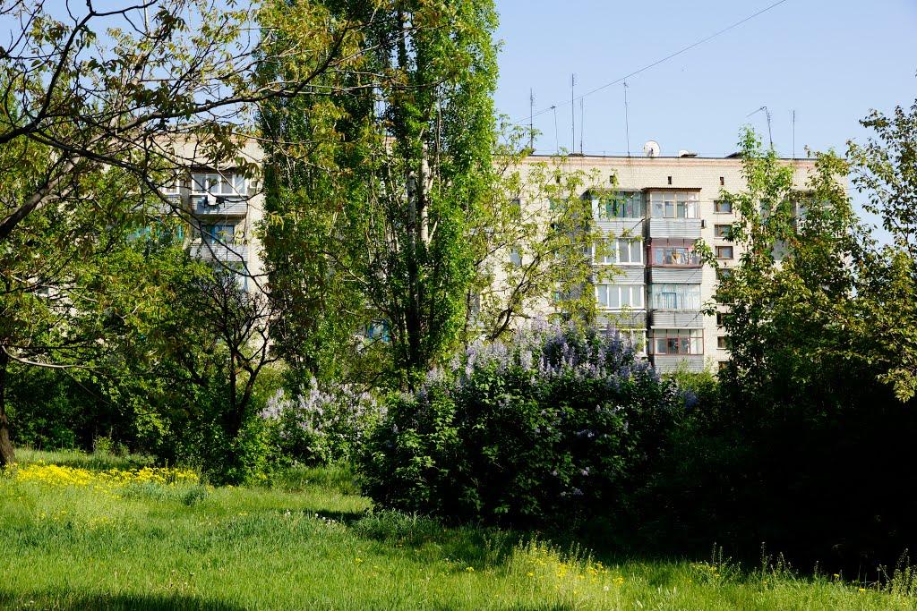 Новодонецьке з panoramio.com - Новодонецьке