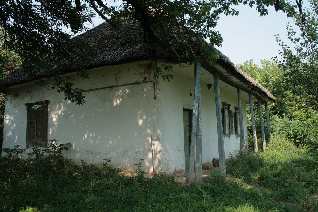 Шедієве з panoramio.com - Шедиево