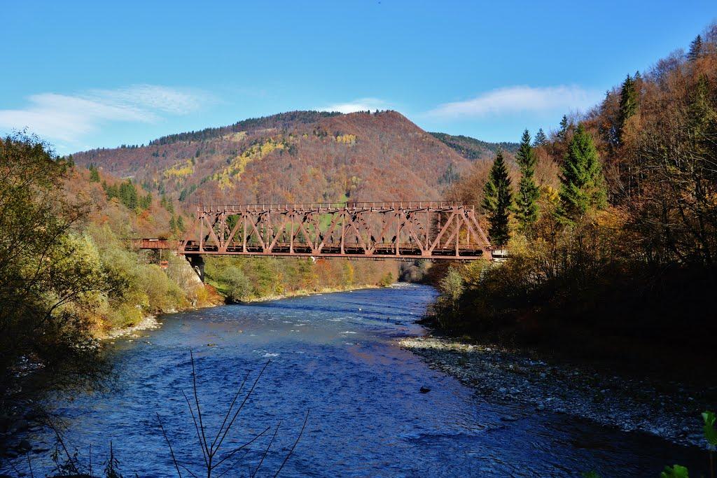 Круглий з panoramio.com - Круглий