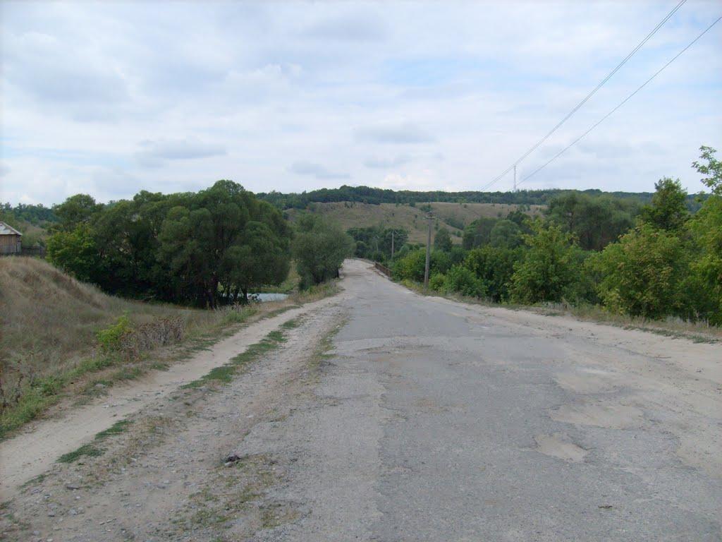 Огірцеве з panoramio.com - Огірцеве