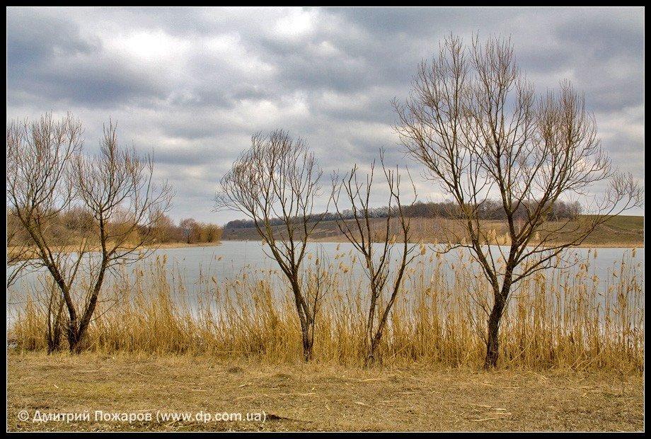 Токарівка з panoramio.com - Токарівка