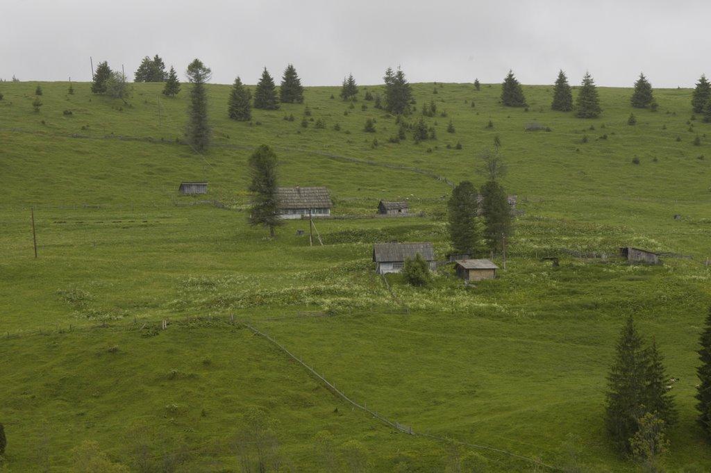 Сарата з panoramio.com - Сарата