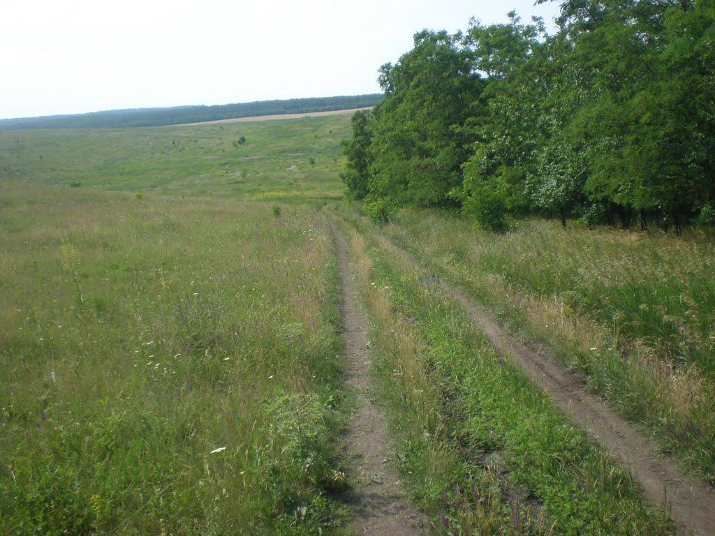 Попасне з panoramio.com - Попасне