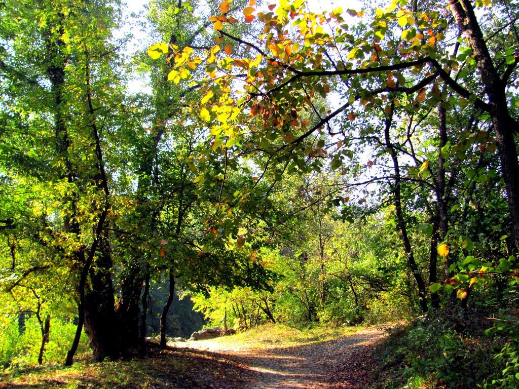 Корсунь-Шевченківський з panoramio.com - Корсунь-Шевченковский
